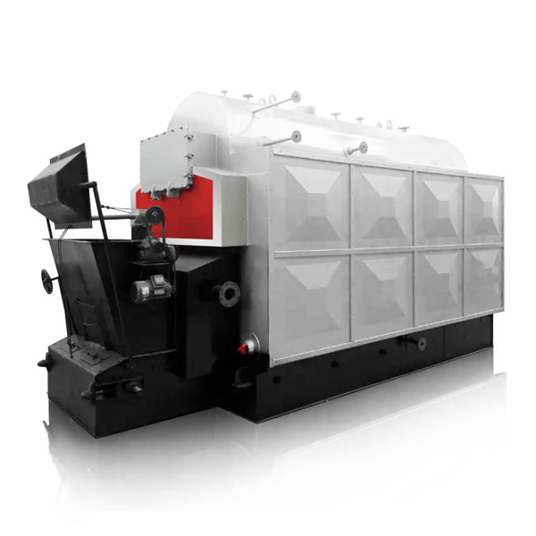 DZL Automatic Feeding Biomass Boiler